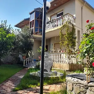Gather Shkodra